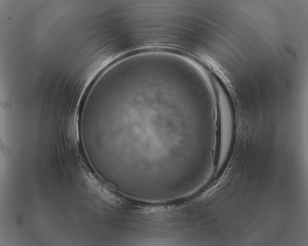 X0000090900892200708061502