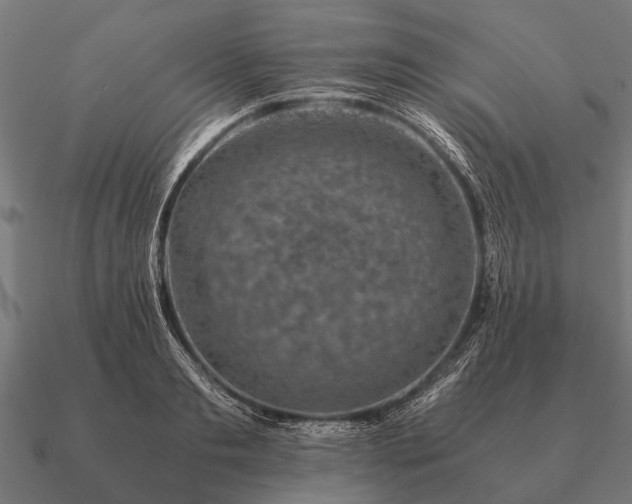 X0000090900893200708061502