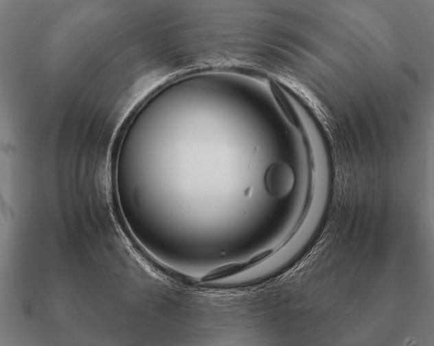 X0000090900894200708061502