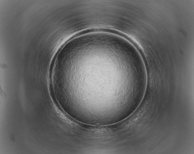 X0000090900895200708061502