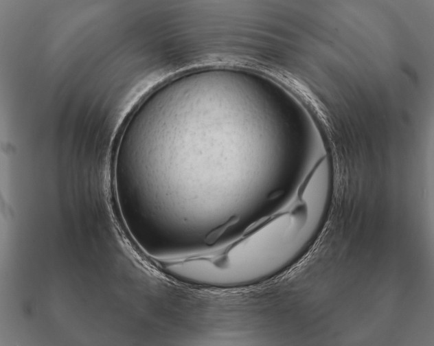 X0000090900896200708061502