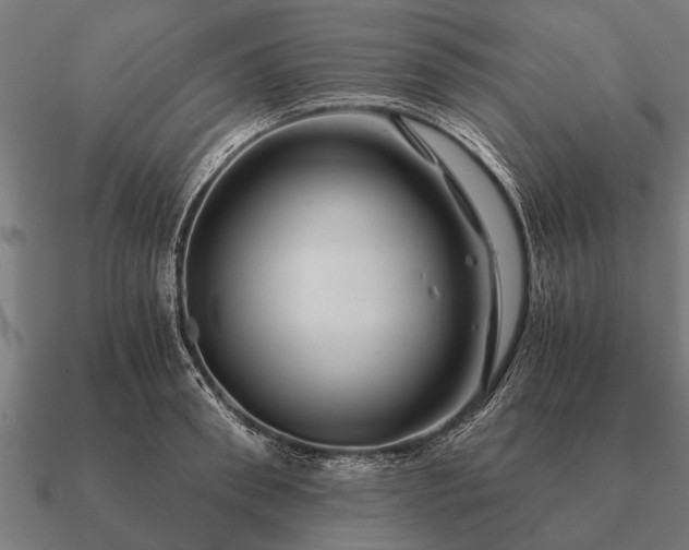 X0000090900898200708061502