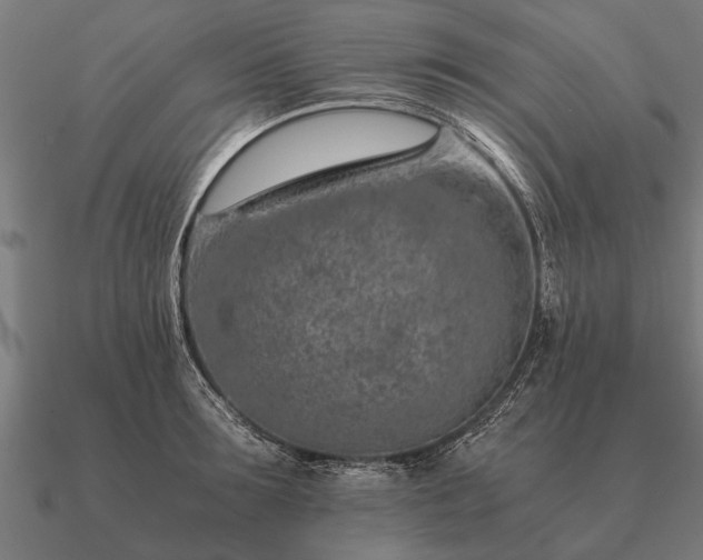 X0000090900899200708061502