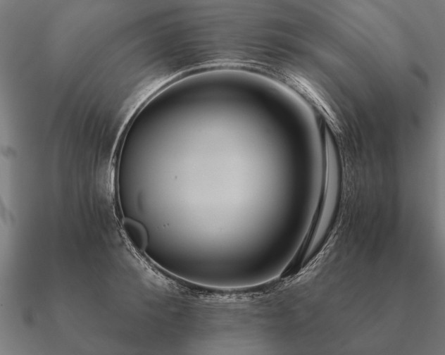 X0000090900900200708061502