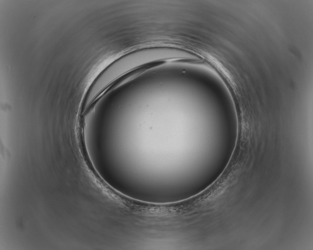 X0000090900901200708061502