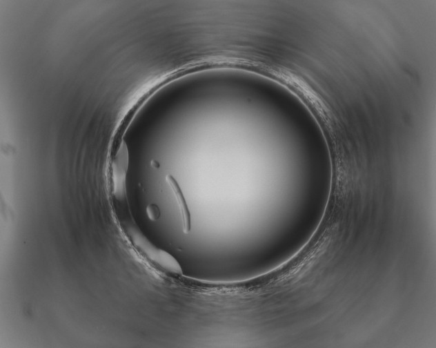 X0000090900902200708061502