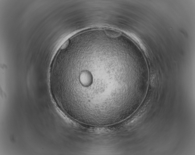 X0000090900903200708061502