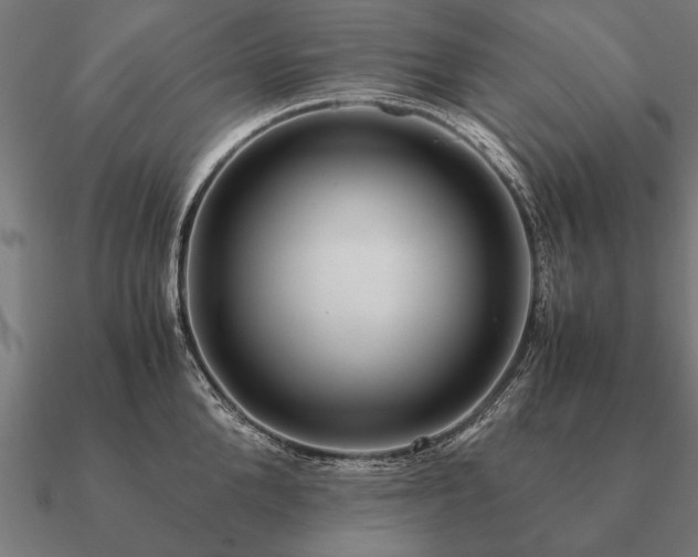 X0000090900904200708061502