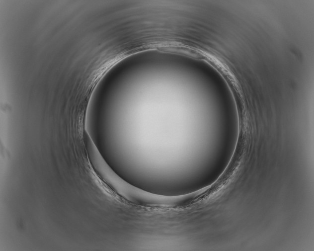 X0000090900905200708061502