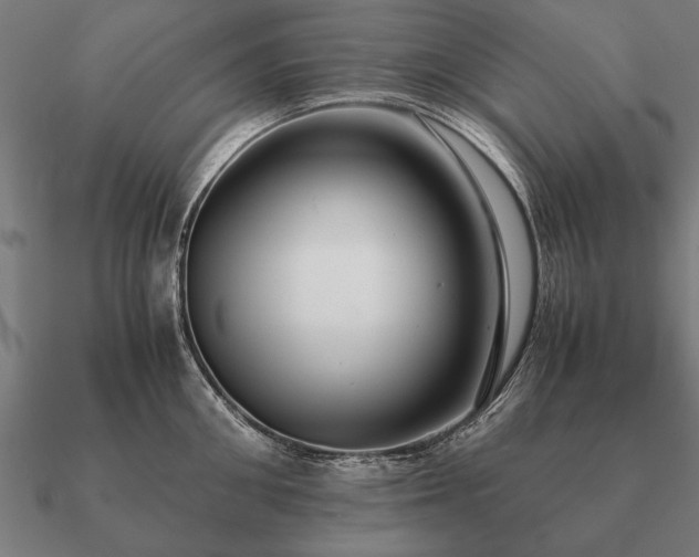 X0000090900906200708061502