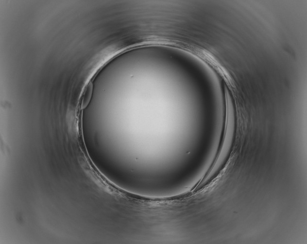 X0000090900908200708061502