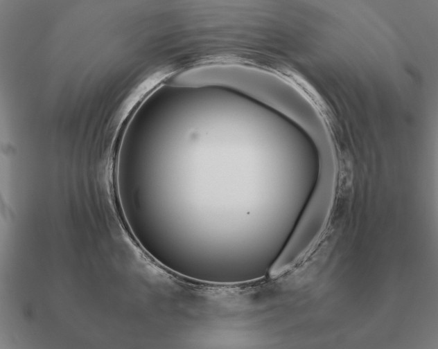 X0000090900909200708061502