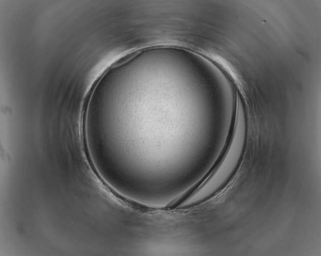 X0000090900910200708061502