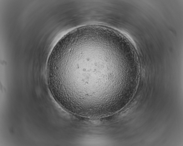 X0000090900911200708061501