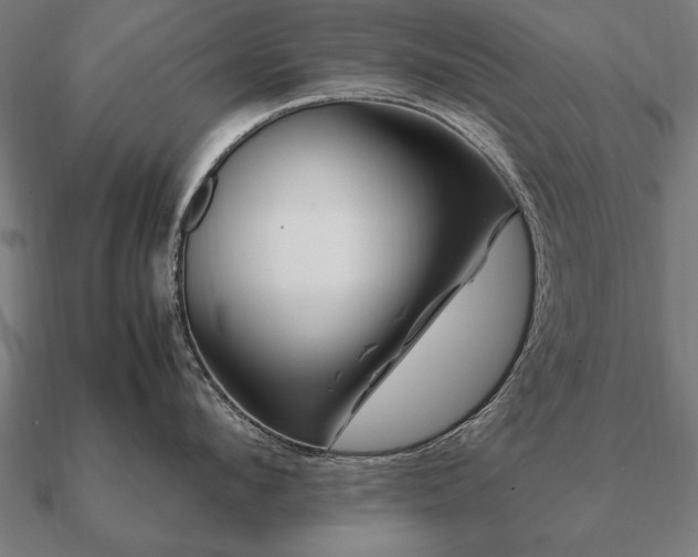 X0000090900912200708061501