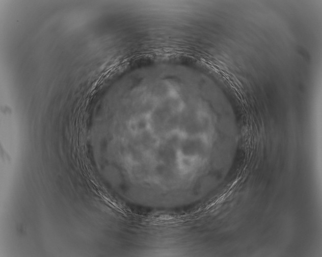 X0000090900913200708061501