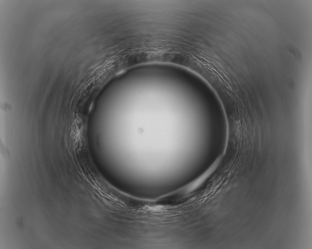 X0000090900914200708061501