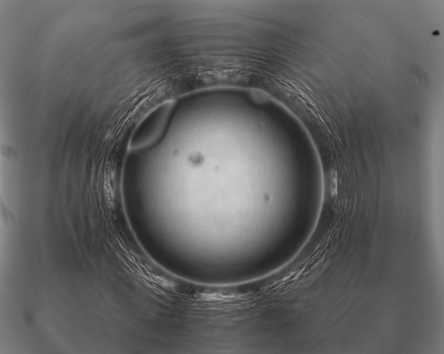 X0000090900915200708061501