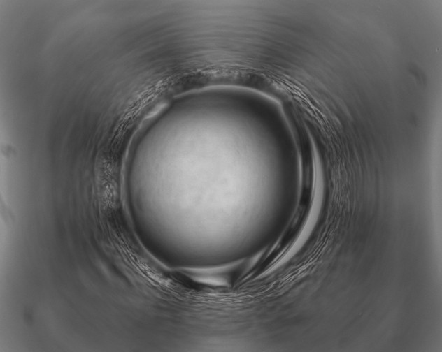 X0000090900916200708061501