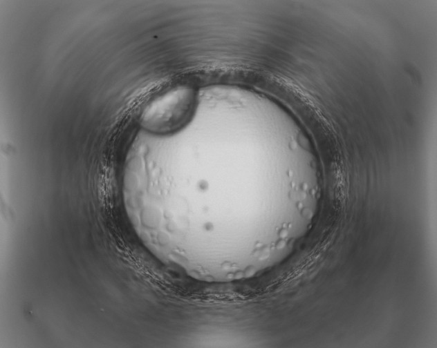 X0000090900918200708061501