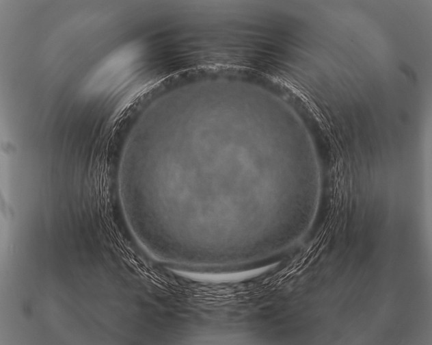 X0000090900919200708061501