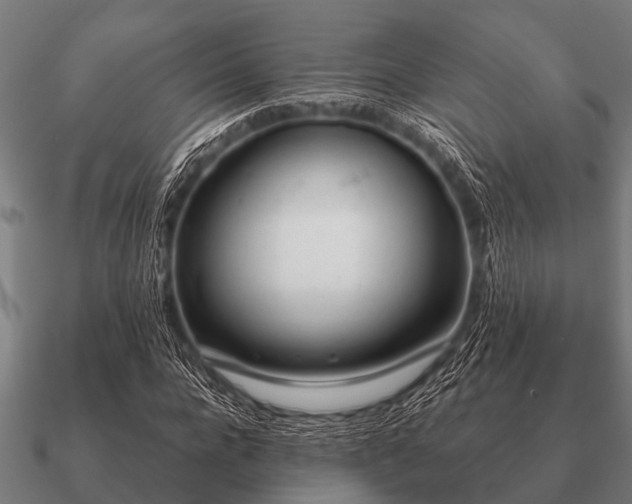 X0000090900920200708061501