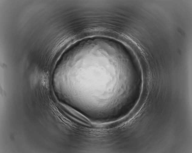 X0000090900921200708061501