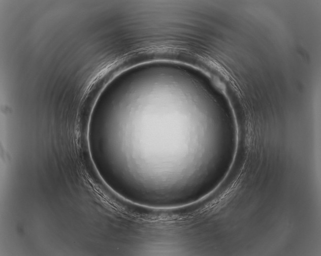 X0000090900922200708061501