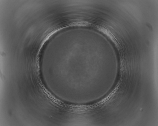 X0000090900923200708061501