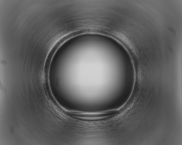 X0000090900924200708061501