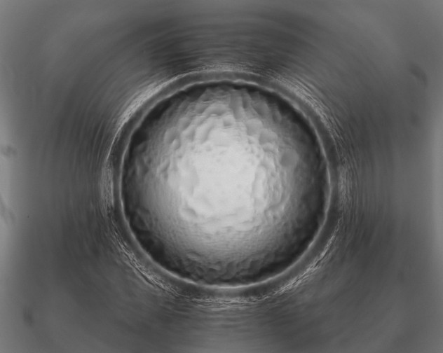 X0000090900925200708061501