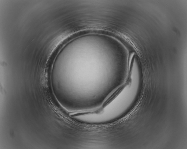 X0000090900926200708061501