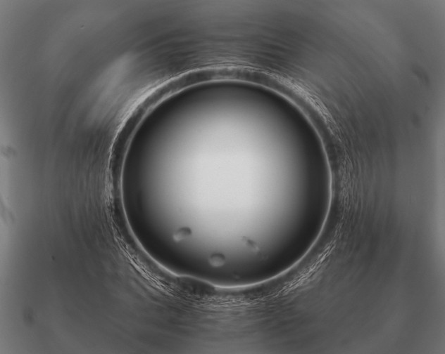 X0000090900927200708061501