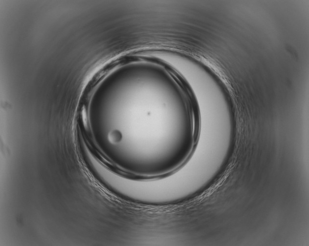 X0000090900928200708061501