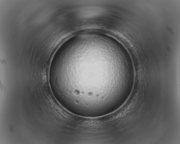 X0000090900929200708061501