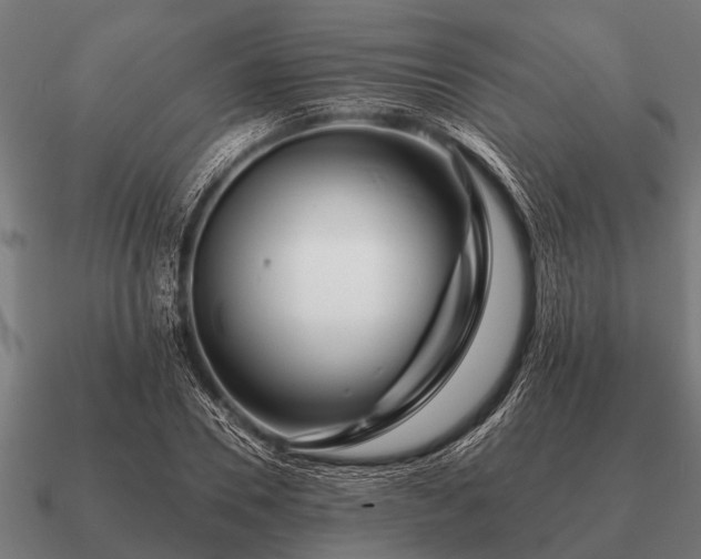 X0000090900930200708061501