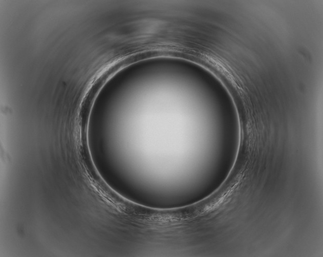 X0000090900931200708061501