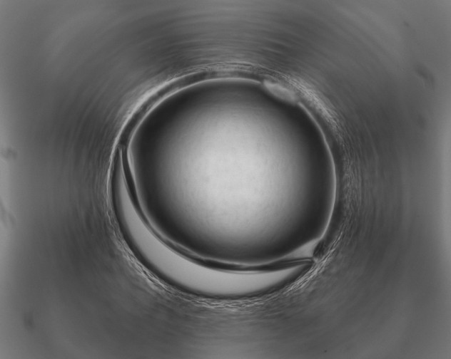 X0000090900932200708061501