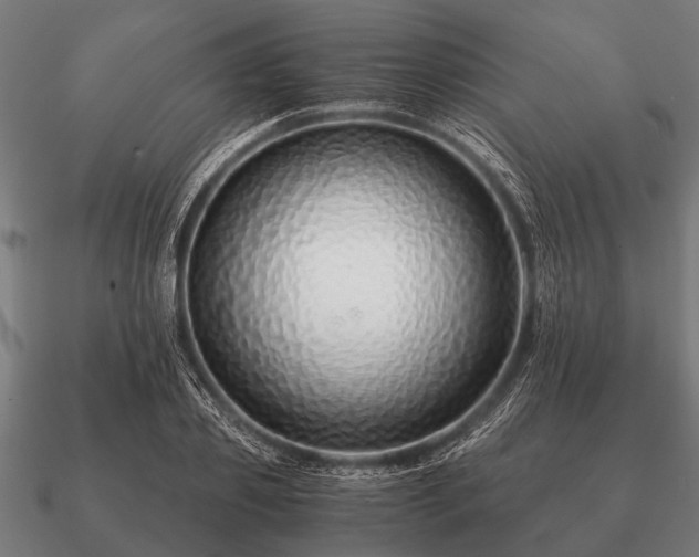 X0000090900933200708061501