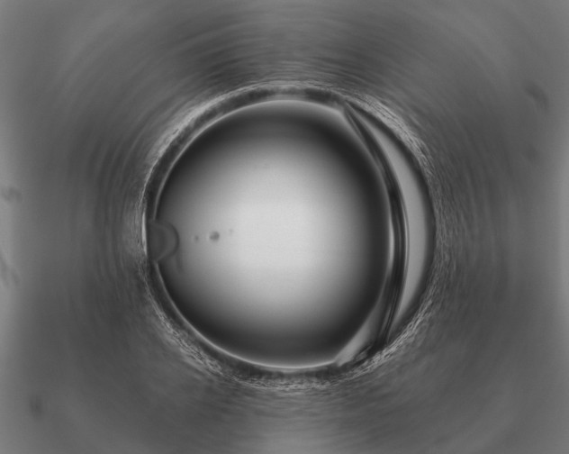 X0000090900934200708061501