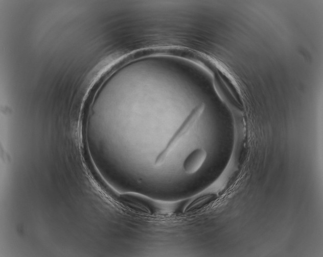 X0000090900935200708061501