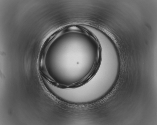 X0000090900936200708061501