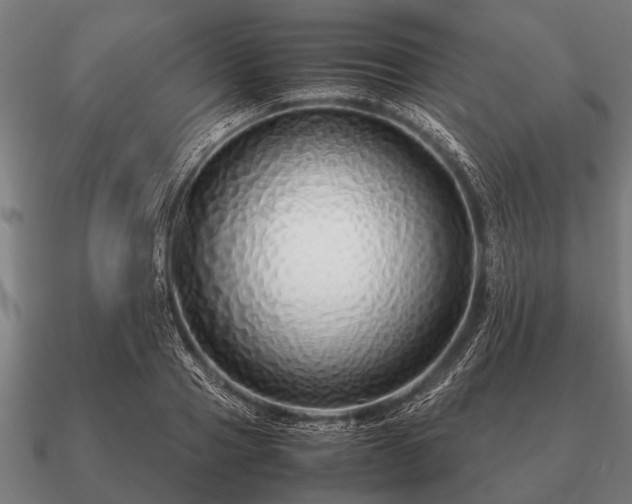 X0000090900937200708061501