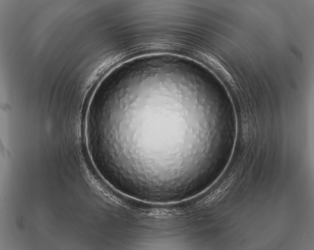 X0000090900938200708061501