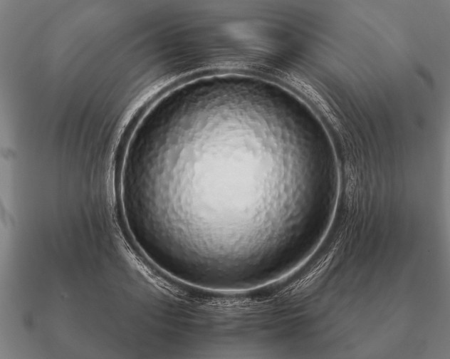 X0000090900939200708061501