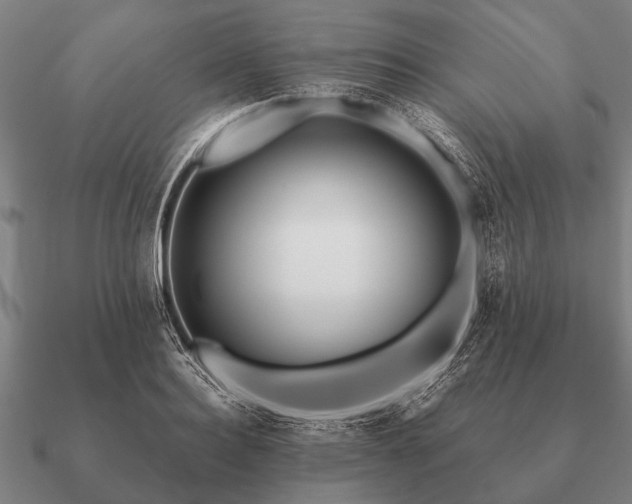 X0000090900940200708061501