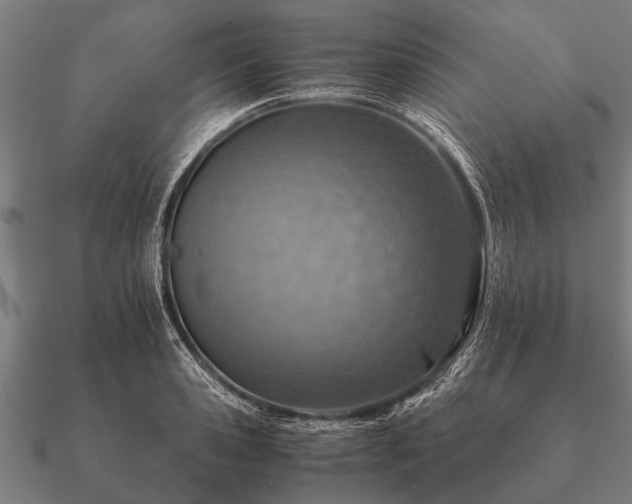 X0000090900941200708061501