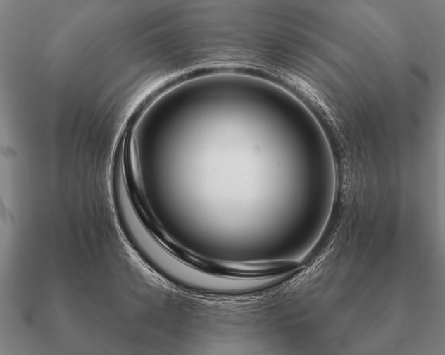 X0000090900942200708061501