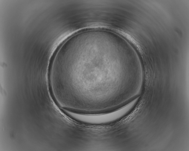 X0000090900943200708061501