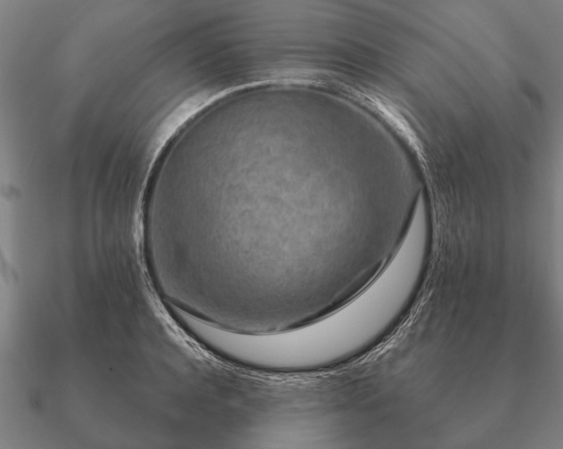 X0000090900944200708061501